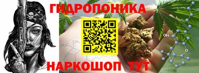 таблы Пугачёв