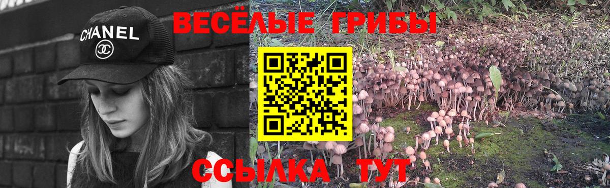 Галлюциногенные грибы Psilocybe Ростов Великий