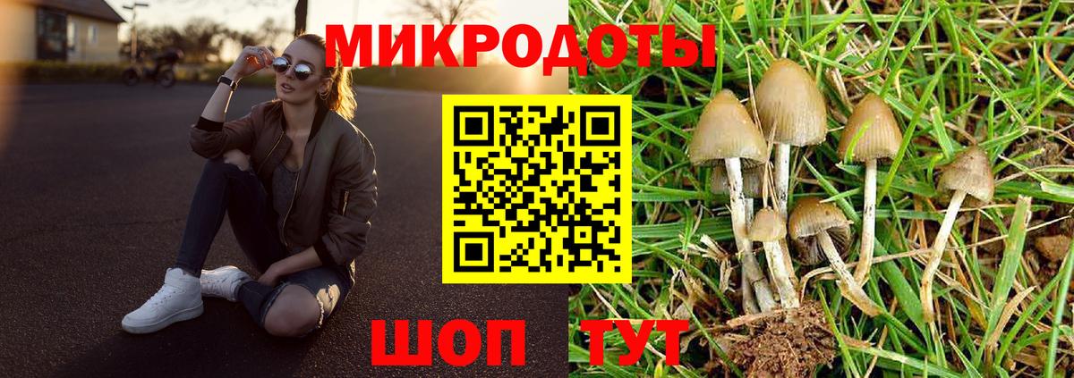 Галлюциногенные грибы MAGIC MUSHROOMS  Вход с VPN  Ростов Великий 
